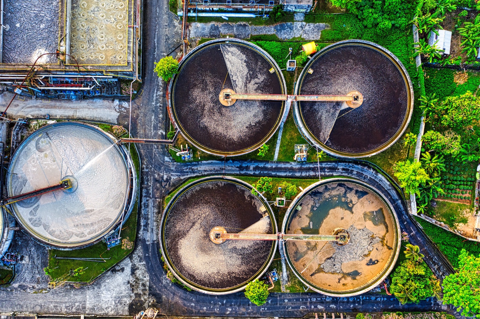 Sludge Dewatering